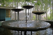 dc6f9d6f04f5eb16a64065de0acc5485.jpg